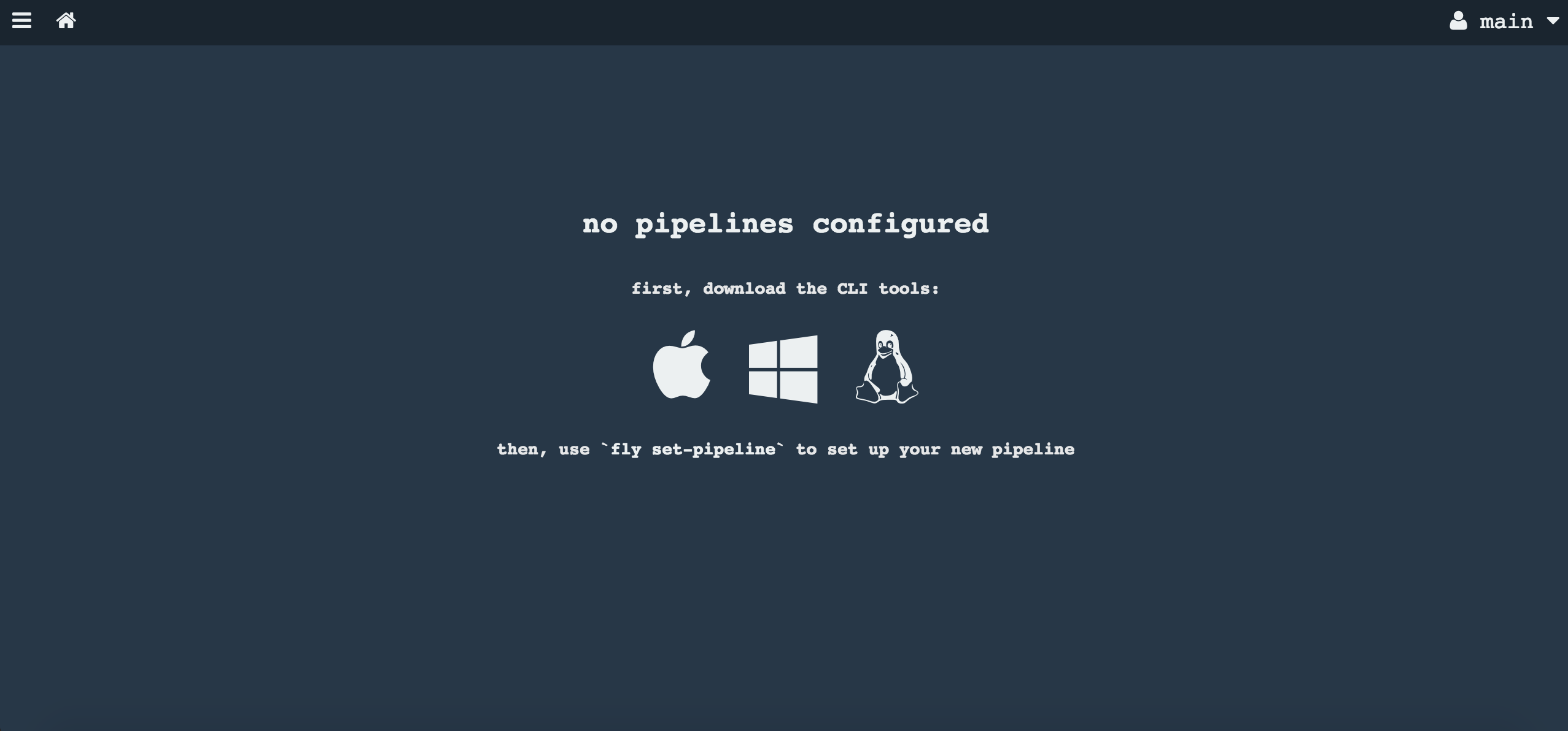 Initial Concourse.ci view in the browser right after setup
